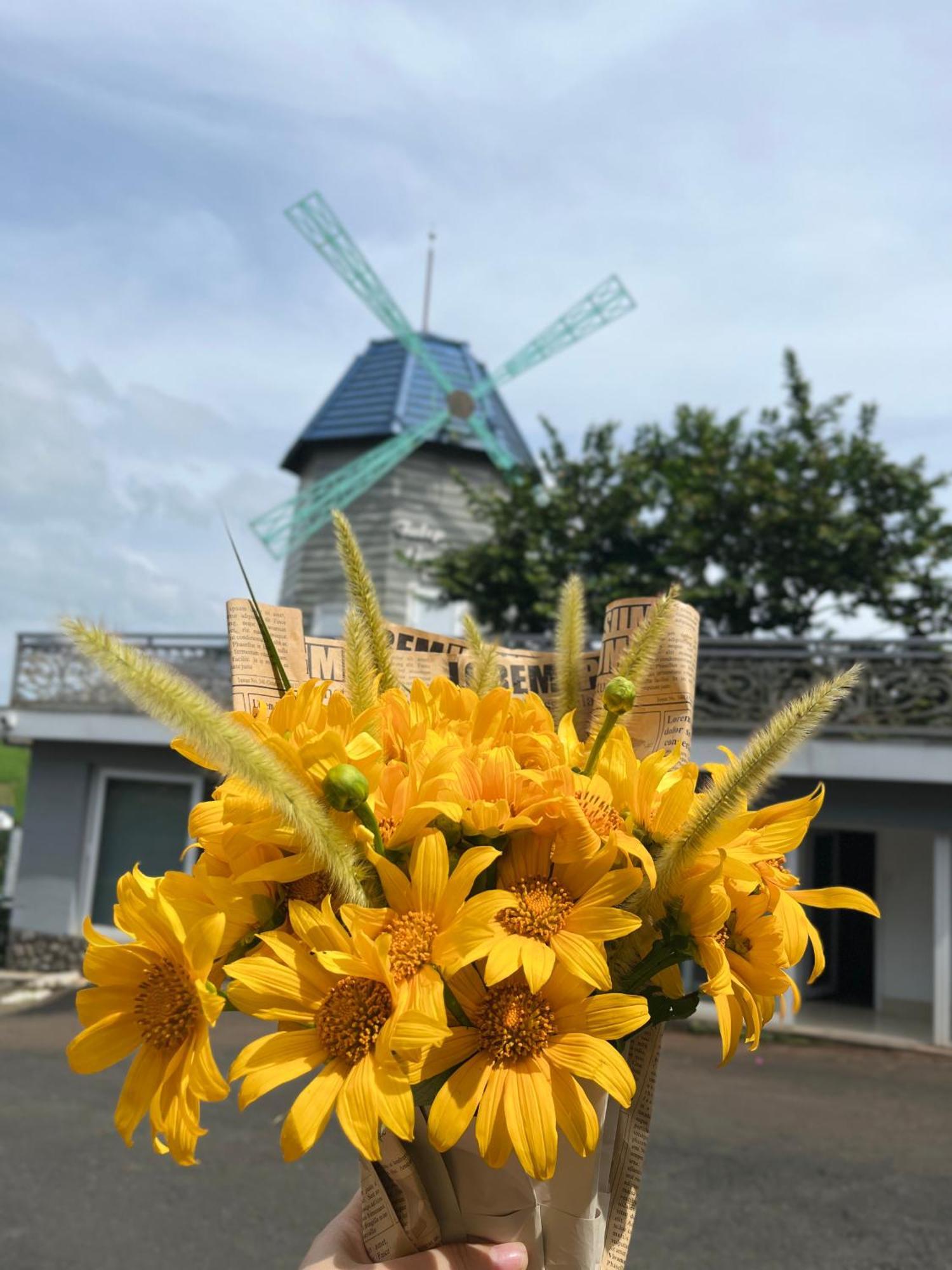 Homestay Tulip Garden Bảo Lộc Esterno foto